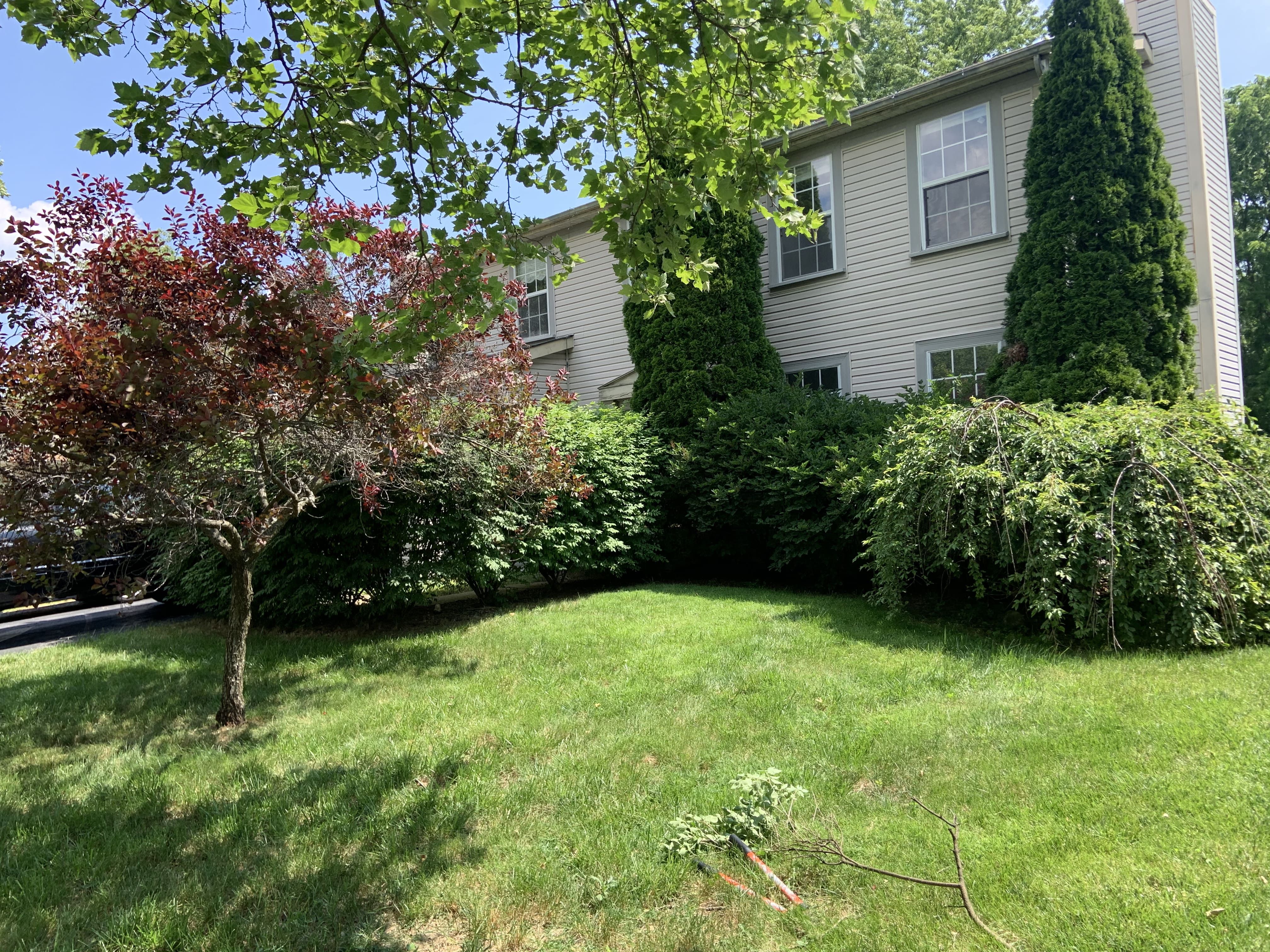 A lush, professionally landscaped Columbus front yard with shaped shrubs and a healthy green lawn