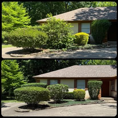 Shrub shaping & trim — Oronoz Landscaping project in Columbus
